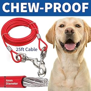   Chrome-Dog-Stake-Leash-Lead-Set-25-Foot-Cable-Stainless-Steel-Heavy-Duty-Outdoor-Tie-Out-for-Dogs-Play-Boundary-for-Puppies-Adult-Dogs