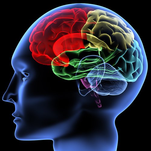 Natural Therapies for Symptoms of Parkinson's Disease Natural Therapies for Symptoms of Parkinson's Disease
