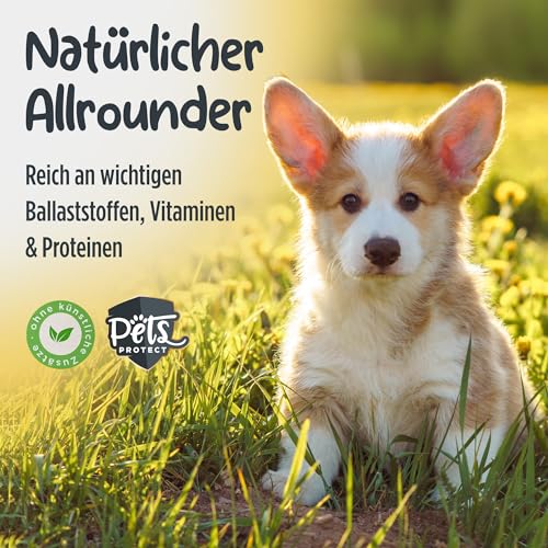 Pets Protect Bio-KOKOSHAPPEN 300 g | Natürliche Leckerlis für Hund & Pferd | Beste Bio-Qualität | Hunde-Snacks getreidefrei & ohne künstliche Zusätze | Leckerli vegan | Deutsche Herstellung