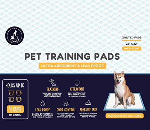 PawFam Fresh Scent Puppy Dog Pet Training Pads, 6-Layer Protection, 22\"x22\" (50 Count)