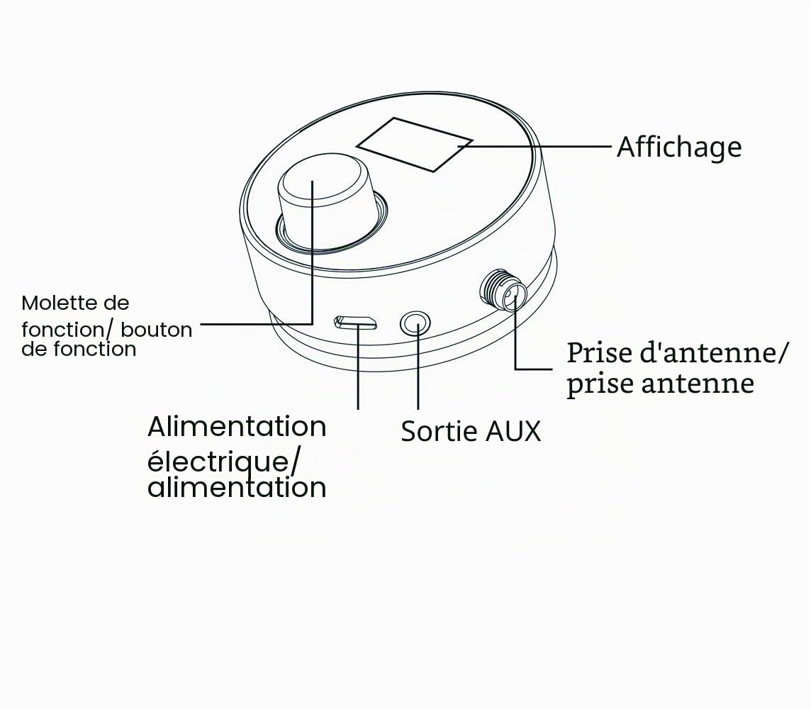 Albrecht Adaptateur radio numérique DR 54 DAB+ pour autoradio ou salon, 27259, transmission sans fil via émetteur FM, sortie auxiliaire, couleur argent/noir, bouton-poussoir