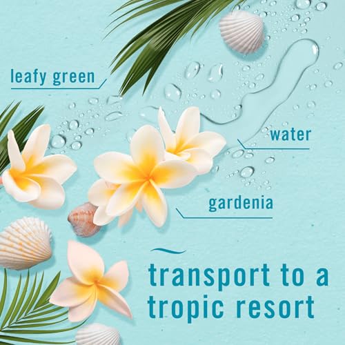 Image of Febreze Air Mist Air Freshener Spray, Odor-Fighting Room Spray, Air Fresheners for Home and Bathroom and Kitchen, Aerosol Can, Bora Bora Waters Scent, 8.8oz, 1 Count