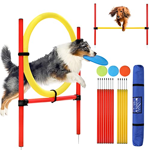 Dog Agility Equipment Best Wooden Seesaw for Dogs