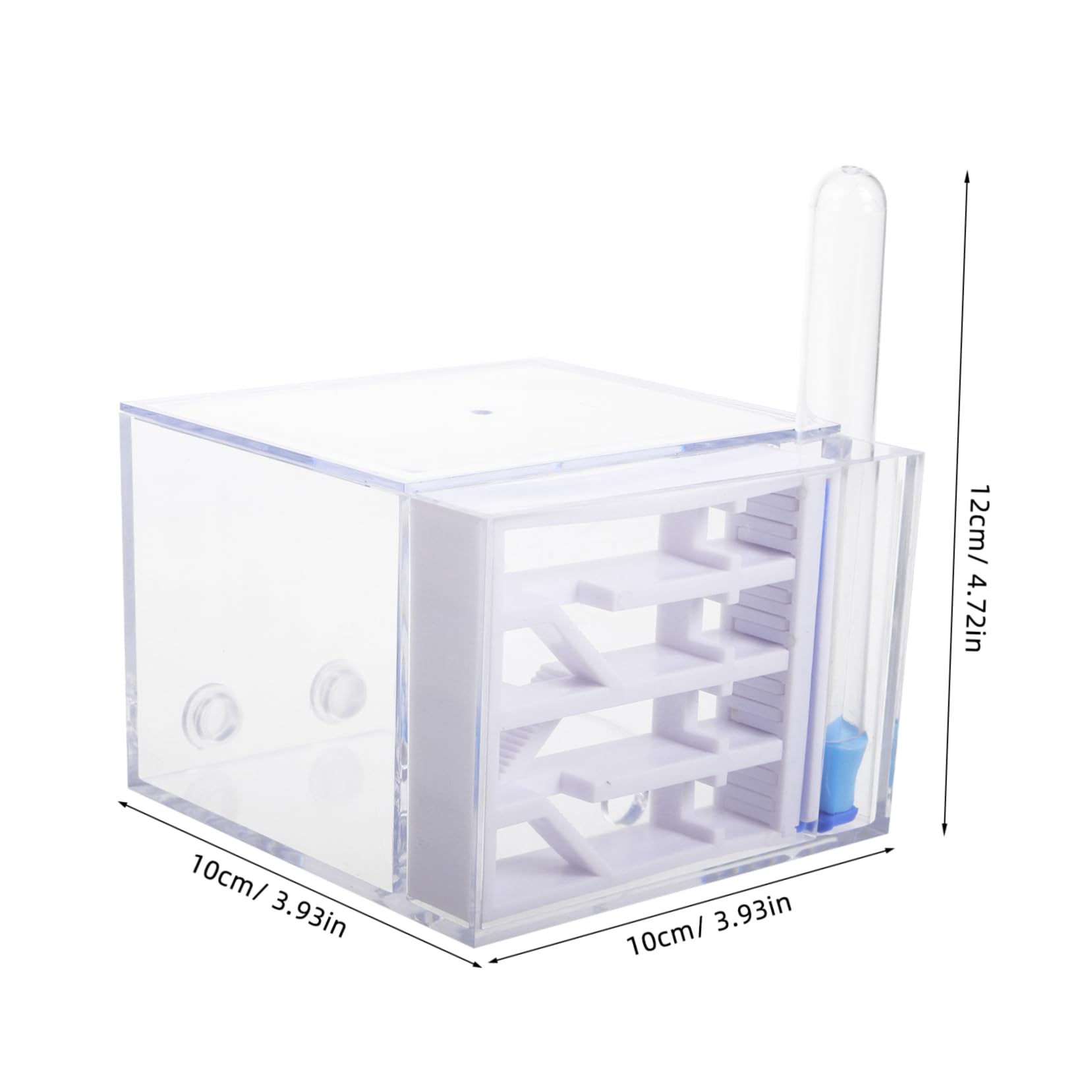 BESTonZON Fourmilière en Acrylique Observation Facile, Trousse Éducative pour Enfants, Jouet Scientifique
