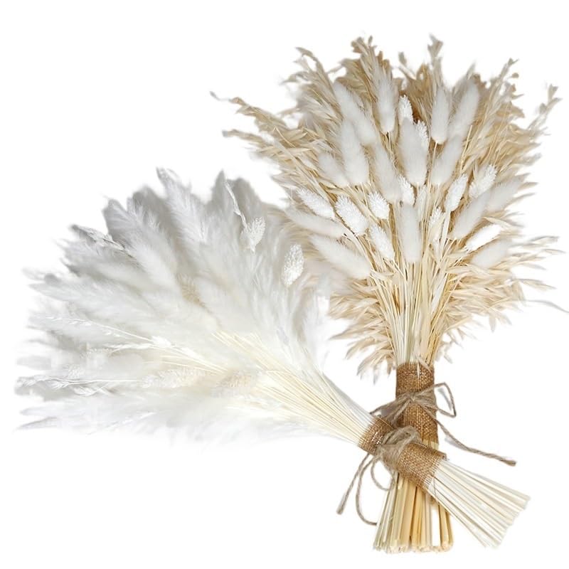 Ramo de pasto pampas seco natural grande y esponjoso 35-45 cm miniatura 3