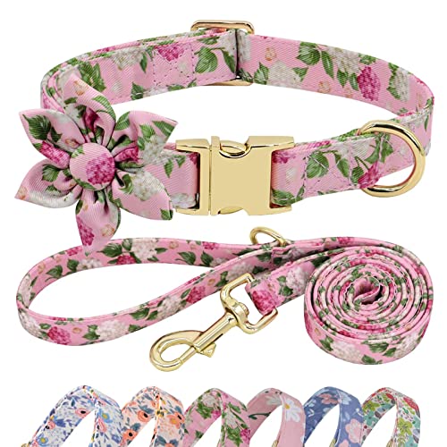 Beirui Cute Girl Dog Collar and Leash Set for Female Dogs- Floral Dog Collar with Flower for Small...