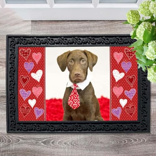 ���փ}�b�g �o�����^�C���n�[�g�̎ʐ^ 50×80cm doormat Valentine's Hearts Photo
