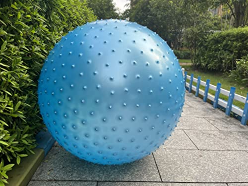 85cm ��^���o�����{�[�� �q�ǂ��p �o�����X�{�[�� 1400g �q���È� �G�o�}�b�T�[�W ���B�x�� �̊��g���[�j���O �L�b�Y �^���È� ���S ���� �v�[�� �r�[�` �����V�� �X�g���b�` �����N�[�[�V���� �m��ߋ� �^�b�`�Z���s�[ �G�N�T�T�C�Y