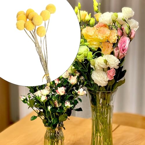 10 Flores Secas para Decoración Boho DIY miniatura 5