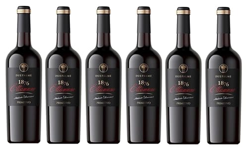 6x 0,75l - 2021er - Cantine Due Palme - 1876 Ettamiano - Primitivo - Salento I.G.P.- Apulien - Italien - Rotwein trocken