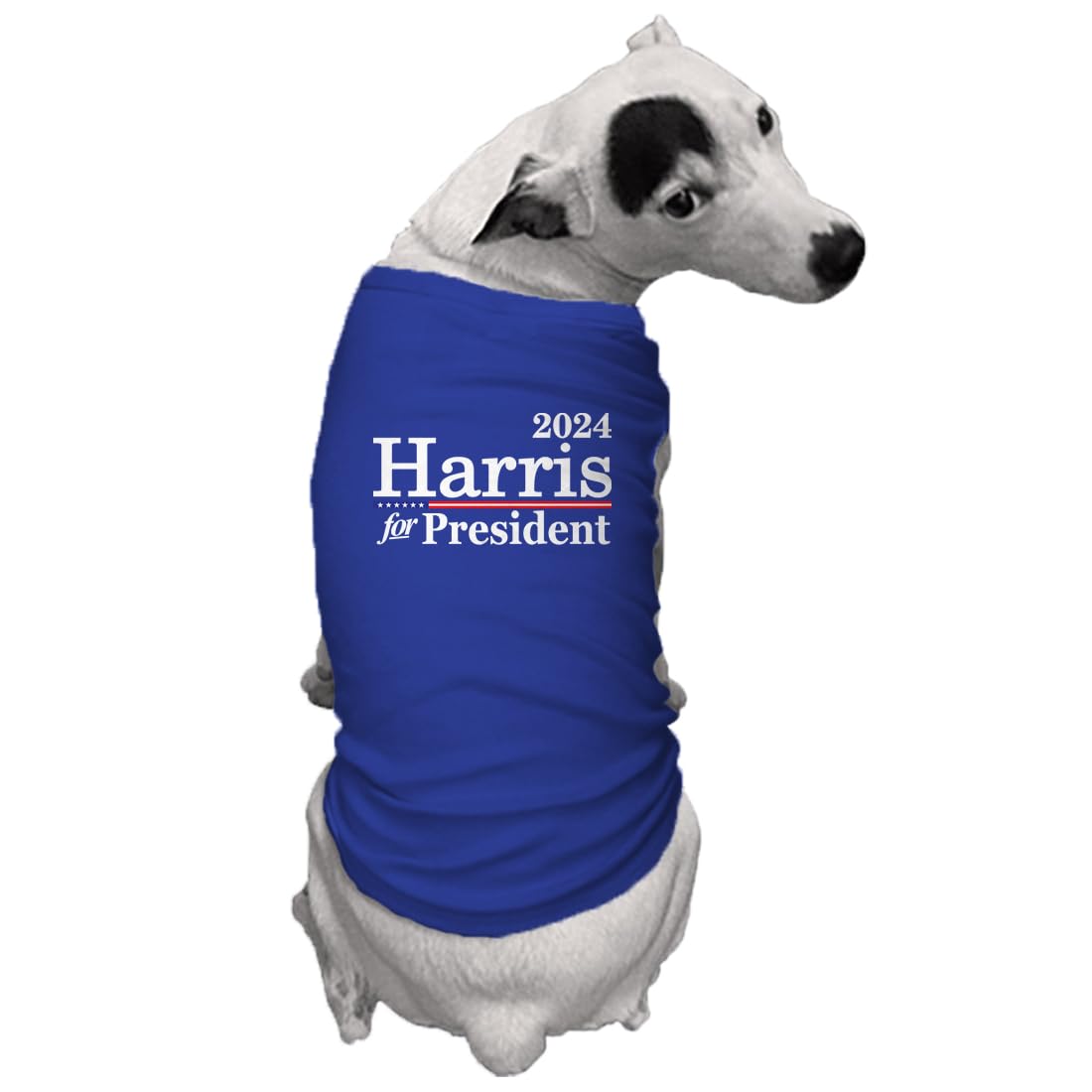 Harris for President 2024 - Dog Shirt (Royal Blue, Medium)
