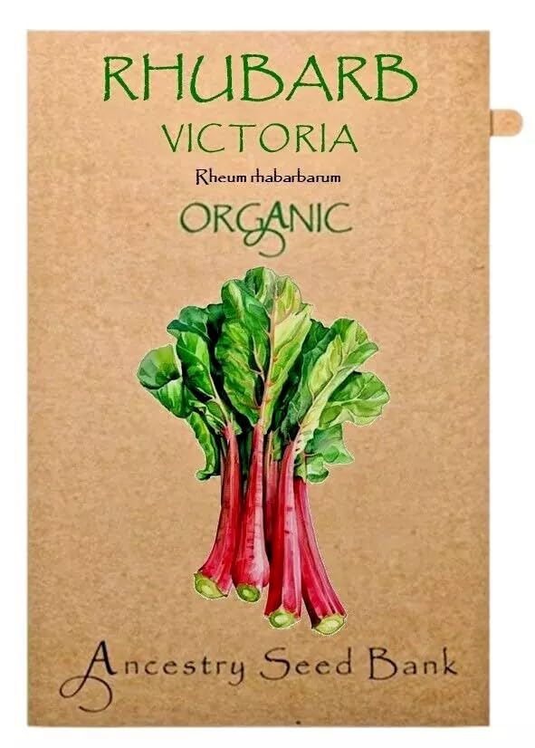 Organic Rhubarb ❁ Victoria ❁ x10 Seeds Heirloom - Non GMO