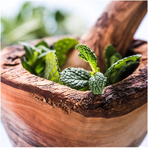 Seed Needs, Spearmint Herb Seeds For Planting (Mentha Spicata) Twin Pack Of 1,000 Seeds Each Non-Gmo/Untreated #TOP1