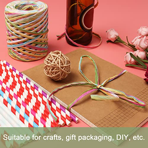 Yzzsjc 656 Feet Colored Paper Raffia Ribbon,Colored Packing Paper String Perfect For Gift Wrapping, Gift Box Packing, Party Decor And Craft Projects (Blue) #TOP5
