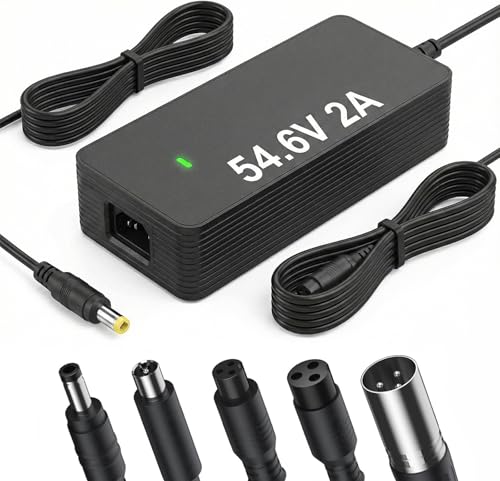 54.6V 2A Electric Bike Charger for 48V Lithium Battery (UL