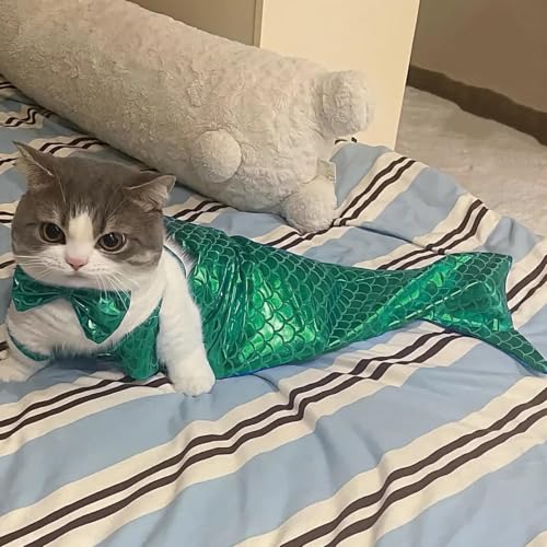 Cola de gato para disfraz de Halloween cómodo para mascotas 4