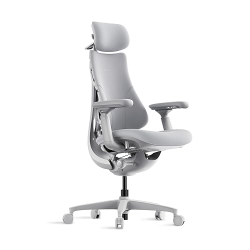 LiberNovo Dynamic Ergonomic Office Chair - Comfy Adjustable Desk Chair with Adaptive Lumbar Support, 160° Recline & Built-in Back Stretch, Swivel Task Chair for Home Office Long Hours Use, Gray+48cm - Space Gray 48 cm - Chair Only