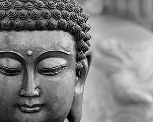Wall Rogues WR50557 3 x 2.4 m "Buddha" Mural Wallpaper - Grey, 3m x 2.4m
