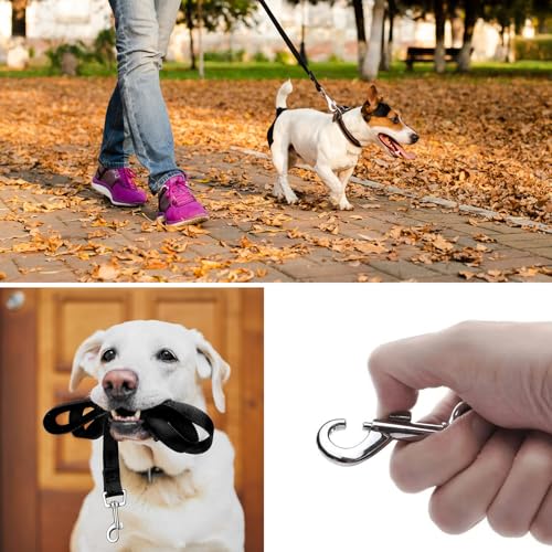 15m Schleppleine für Hunde, Schleppleine für Kleine Hunde, Ausbildungsleine, Robuste Nylon Hundeleine, Lange Hundeleine für Training und Outdoor, Ideal zum Spielen, Campen oder für den Garten