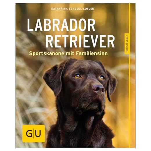 Labrador Retriever: Sportskanone und Familiensoftware