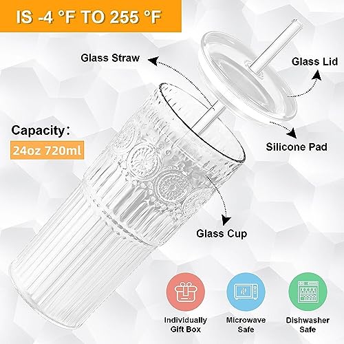Bandesun 24 OZ All Glass Iced Coffee Tumbler with Lids and Straws