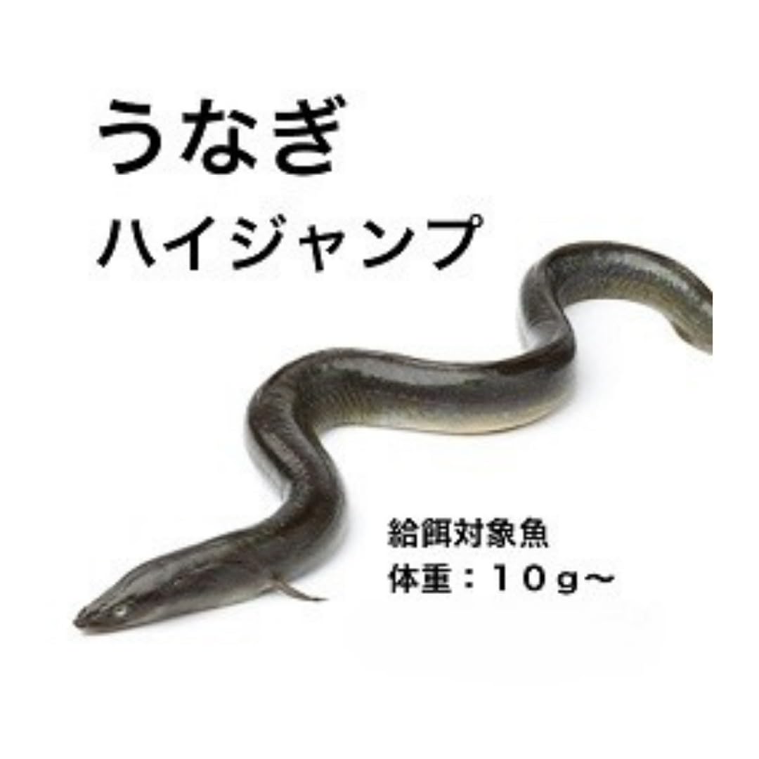 Amazon.co.jp: ハイジャンプ 1キロ うなぎの餌 ウナギの餌 鰻の