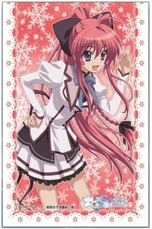 Chara Sleeve Collection Mashiroiro Symphony Inui Sana