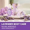 Set de Regalo de Niebla Corporal BODY & EARTH - Regalos de Spa para Mujeres, Perfume, Loción Corporal y Exfoliante Corporal en una Caja Lavender Dreams - Perfecto para Regalos de Cumpleaños para Mamás y Ocasiones Especiales, Ideas de Regalo Únicas para Ella 6