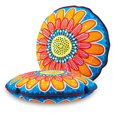Coussin décoratif Bine Brändle Cover