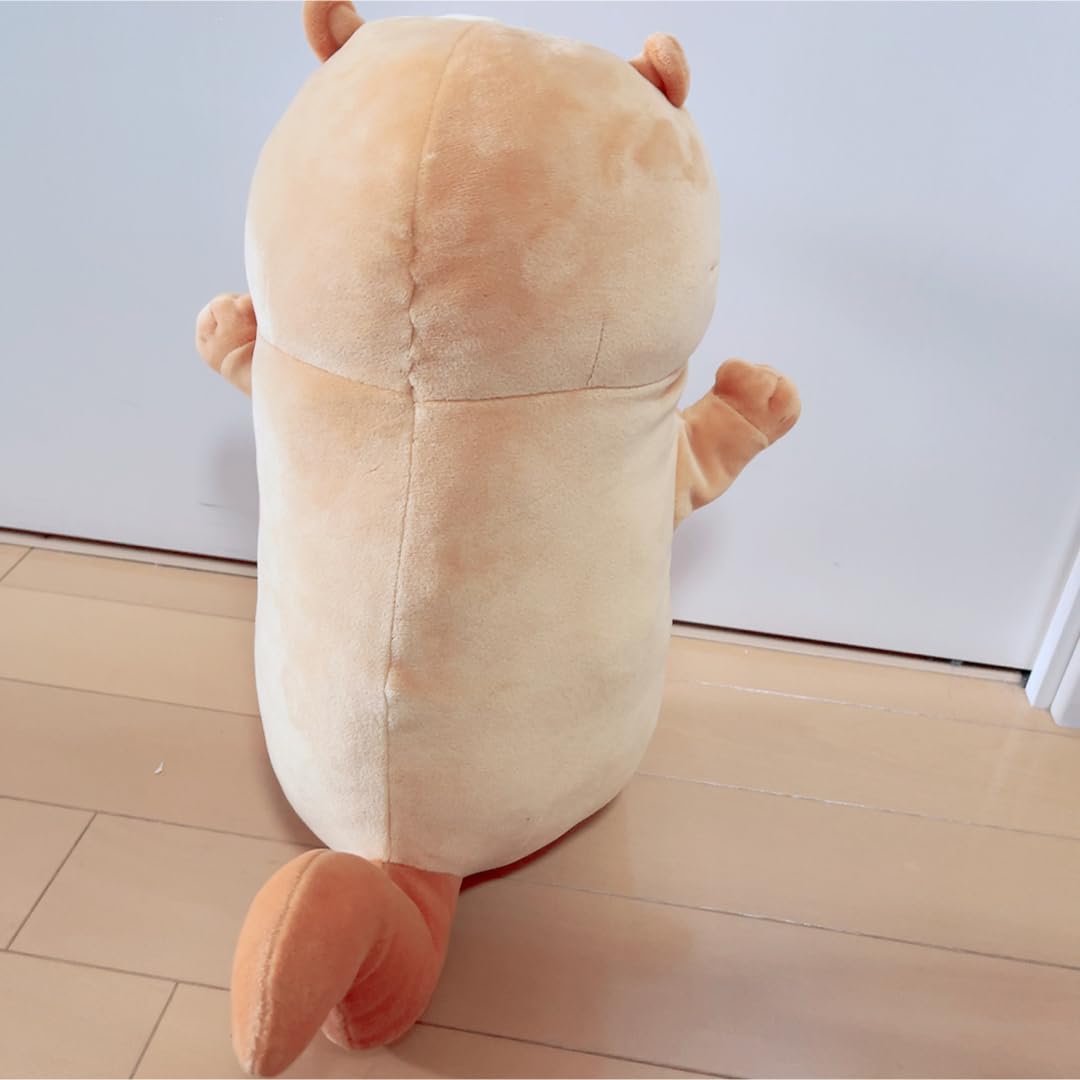 Amazon.co.jp: 可愛い嘘のカワウソ もっちりぬいぐるみ : おもちゃ