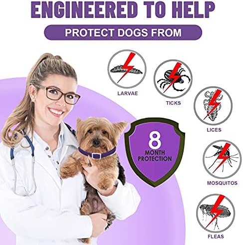Dogs Flea and Tick Collar, 8 Months Protection Natural Flea Treatment for Dogs, Adjustable Flea and Tick Control for Puppy Dogs