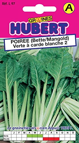 Graines de Poirée (Bette/Mangold) Verte à carde blanche 2-5 grammes
