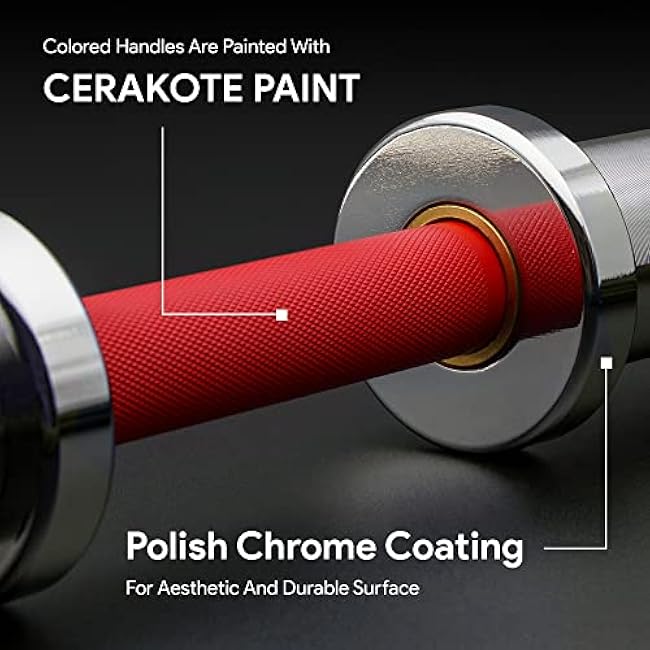 Olympic Dumbbell Handle ¨C 2 Inch Loadable Dumbbell Bar Heavy Duty Handle for Gym Workouts, Exercise, Training, Bodybuilding, Cross Training and Weightlifting