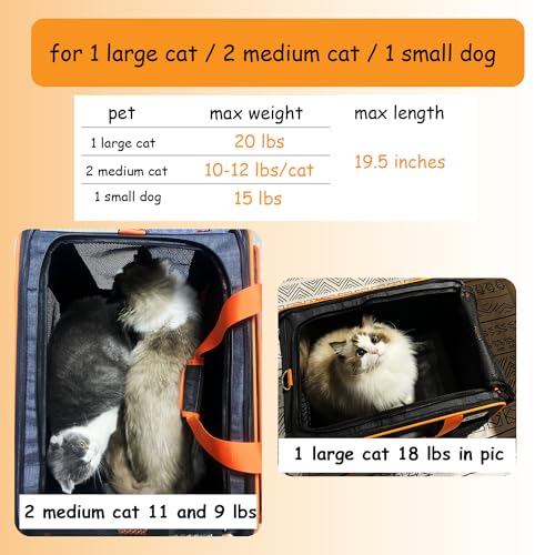 pidipiti-20-x-14-x-14-inches-Expandable-pet-Carrier-for-1-Large-cat2-Medium-Cats-Under-20-lbs-1-Small-Dog-Under-15-lbscat-CrateBag-for-car-Travel