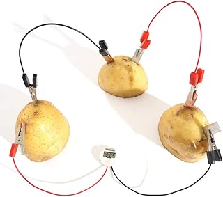 Skelang Fruit Battery Science Experiment Kit with Electronic Clock for DIY Home Teaching Toy , School Science Project, Education Subject