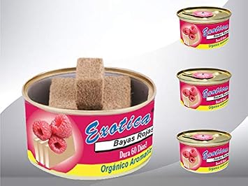 Exotica Car Air Freshener | Spill-Proof Can | Organic | for Home & Auto | Long Lasting Freshness | Pack of 12 Red Berries