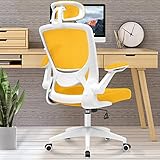 KERDOM Ergonomic Office Chair, Breathable Mesh Desk Chair, Lumbar Support Computer Chair with Headre