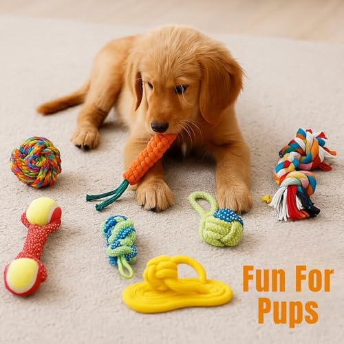 Image of Dog Rope Toys + Chew Toys, Combo (Pack of 7)