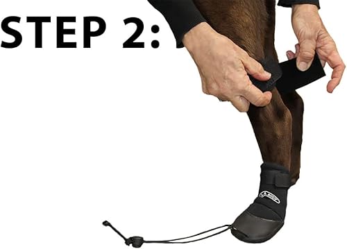 Miniatura 6 de WALKABOUT™ Toe'sUP - Soporte para botas sin nudillos para perros que arrastran las patas, zapatos correctivos para levantar los dedos de los pies