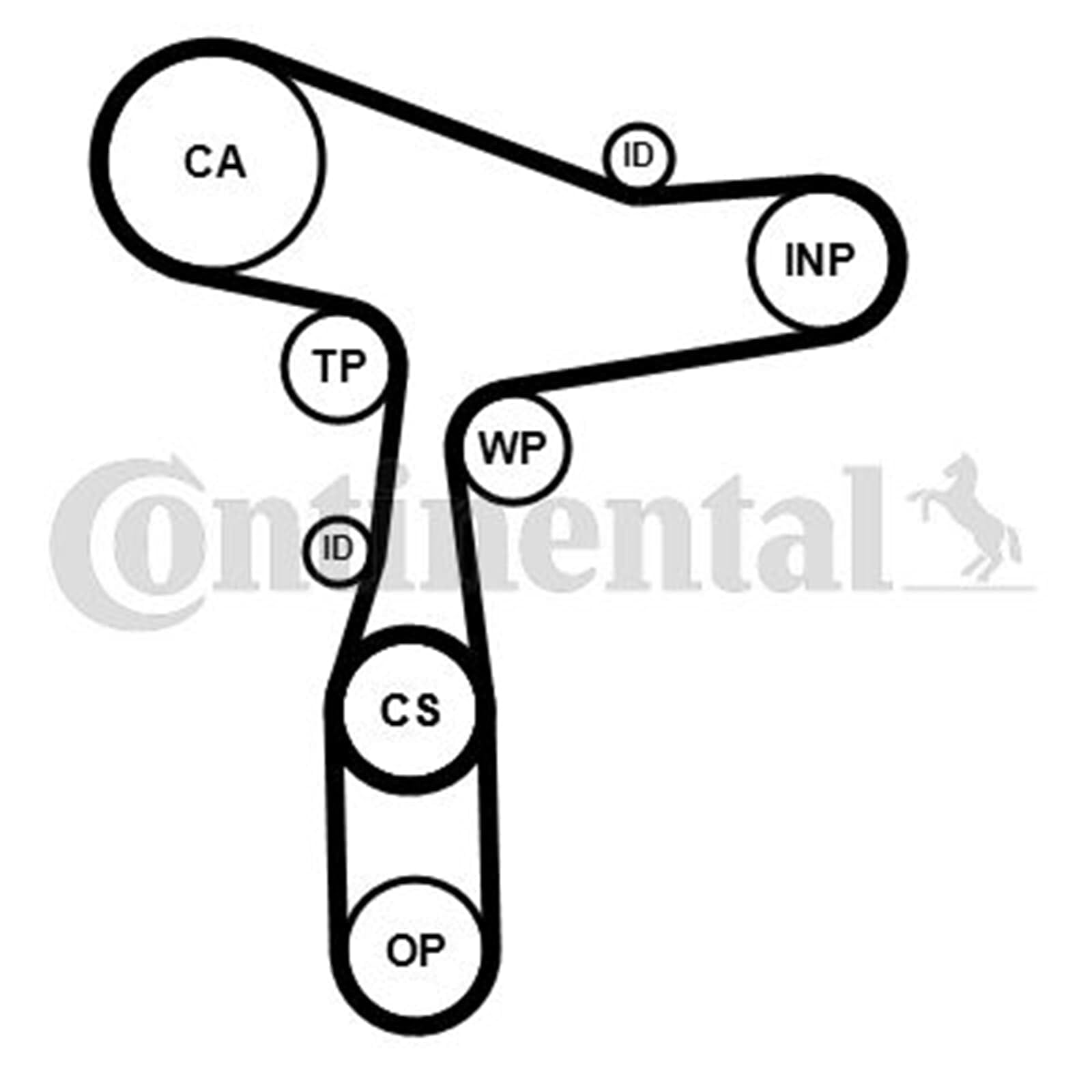 Continental Ctam CT1168WP8PRO Wasserpumpe + Zahnriemensatz