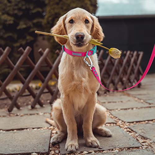 Wolfone Collare per cani regolabile impermeabile