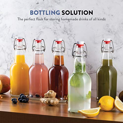 Paksh Novelty Glass Bottles - 16 Ounce Swing Top Beer Bottles With Flip-Top Airtight Lid For Carbonated Drinks, Kombucha, 2Nd Fermentation, Water - Grolsch Bottle, Holiday Gifts #TOP1