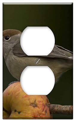 Switch Plate Outlet Cover - Bird Wildlife Nature Animal Outdoors Blackcap