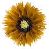 ELSKERJW Mustard Yellow Sunflower Throw Pillows Flower Pillow Decorative Round Throw Pillow Aestheti