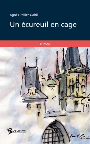 Un écureuil en cage