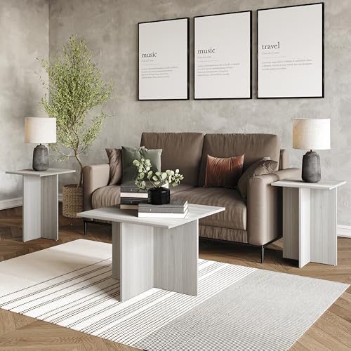 HOME DESIGN Joliet 3 Piece Coffee Table Set 23.6 Inches