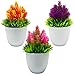 AIVORIUY Plantes Artificielles en Pot Houblon Fleur en Pot Faux Petites Plantes Bonsaï en Pot Plante Décoration pour Bureau Domicile Intérieur Extérieur Rebord de Fenêtre Jardin Décor
