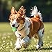 Hundeball 3 Stück Gummi Hundespielzeug Ball 4cm unzerstörbarer Gummiball für Training, hunde ball vesWelpen Katzen Interakti hundespielzeug kleine hunde welpen spielzeug hundeball unzerstörbar