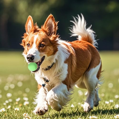 Hundeball 3 Stück Gummi Hundespielzeug Ball 4cm unzerstörbarer Gummiball für Training, hunde ball vesWelpen Katzen Interakti hundespielzeug kleine hunde welpen spielzeug hundeball unzerstörbar