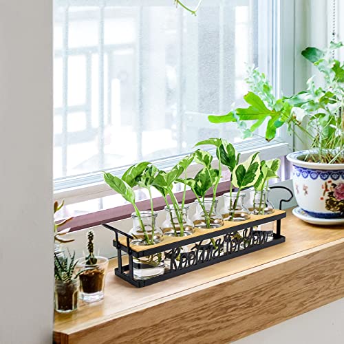 THYGIFTREE Plant Propagation Stations with Metal Stand - Image 3